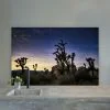 Joshua Tree Park Splashback