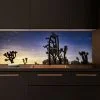 Joshua Tree Park Splashback