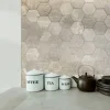 Neutral Hexagon Printed Tile Splashback